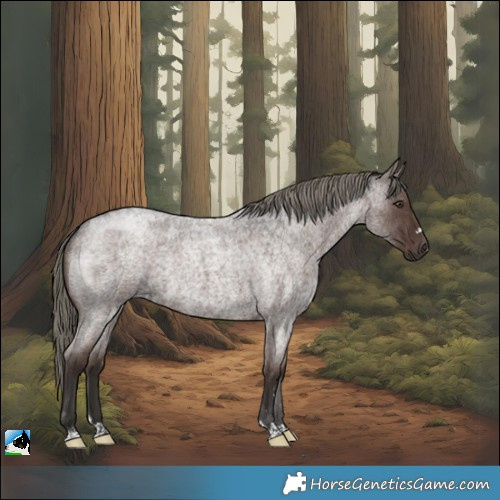 Horse Color:Liver Red Roan Mushroom Rabicano 