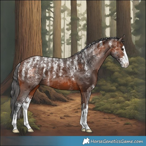 Horse Color:Powder White Brown Merle 