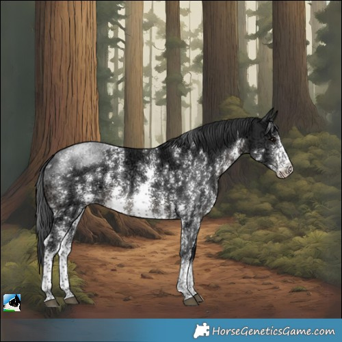 Horse Color:Black Ice Sabino Rabicano
