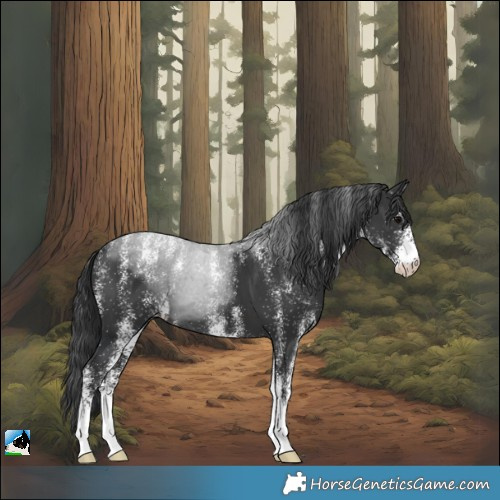 Horse Color:Powder White White Spotted Black