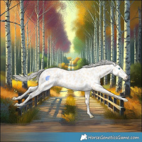 Horse Color:Cremello Near Leopard 