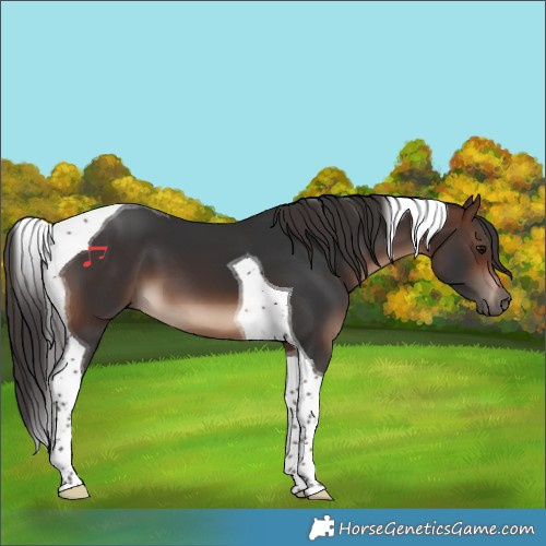 Horse Color:Brown Tobiano 