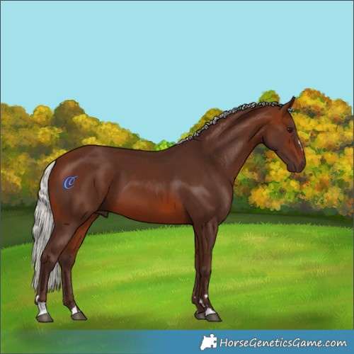 Horse Color:Silver Brown