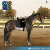 Horse Color:Gray Buckskin Tobiano Varnish