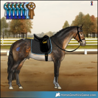Horse Color:Gray Buckskin Tobiano Varnish 