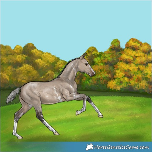 Horse Color:Silver Brown Dun Sabino 