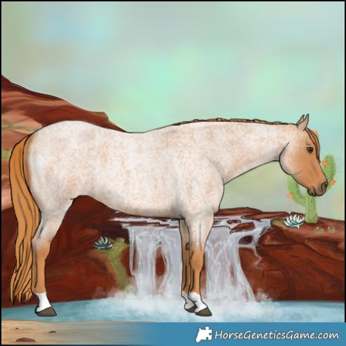 Horse Color:Red Roan 