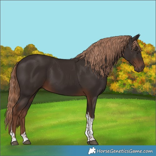 Horse Color:Liver Chestnut Tobiano 
