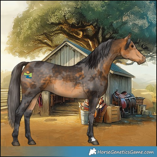 Horse Color:Buckskin Merle Rabicano 