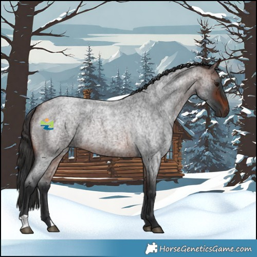 Horse Color:Brown Roan