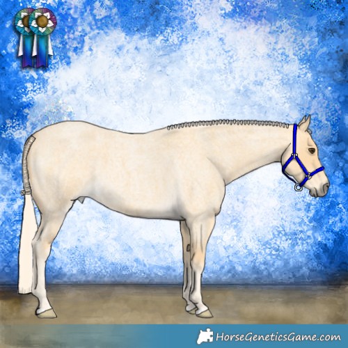 Horse Color:Palomino Roan