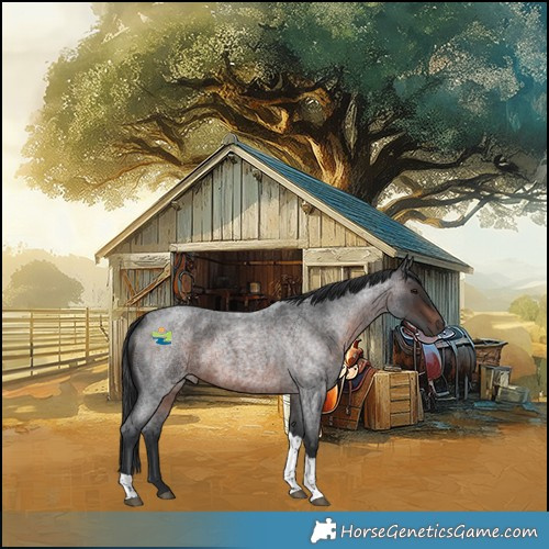 Horse Color:Brown Roan Tobiano 