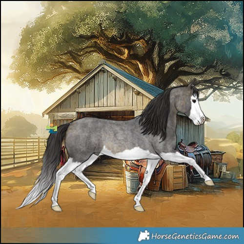 Horse Color:Buckskin Roan Splash Rabicano