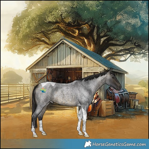Horse Color:Buckskin Roan Tobiano 