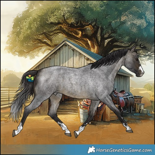 Horse Color:Buckskin Roan