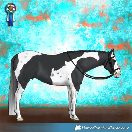 Horse Color:Black Splash Tobiano