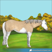 Horse Color:Silver Classic Cream Champagne Dun Splash 