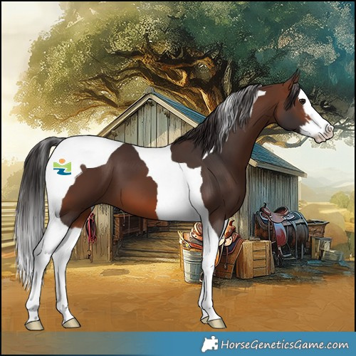 Horse Color:Brown Splash Tobiano 