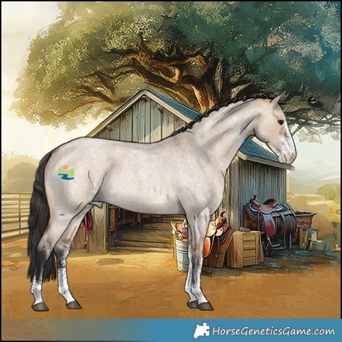 Horse Color:White Spotted Bay Roan Dun 