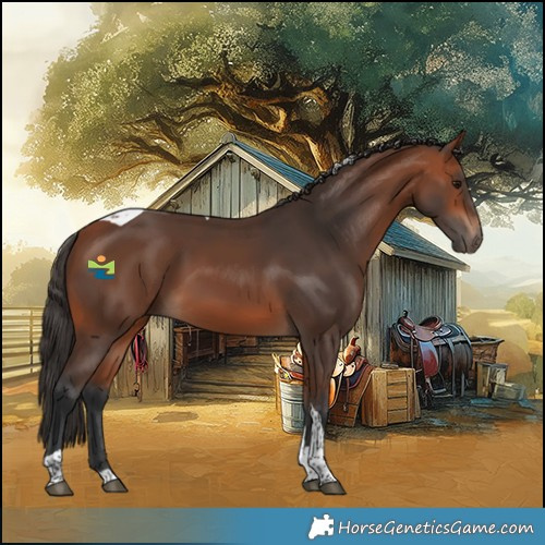 Horse Color:Bay Tobiano