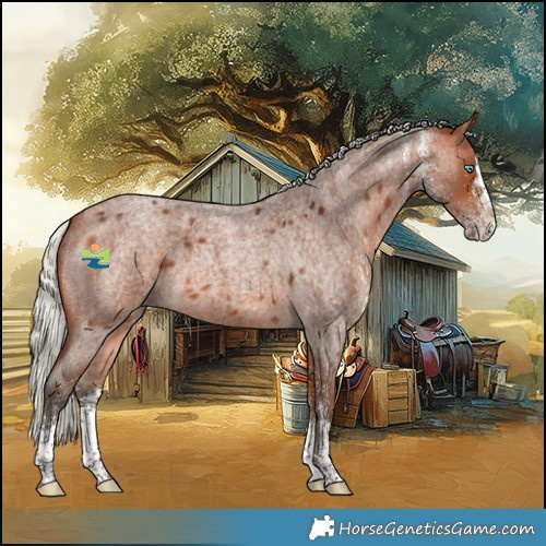 Horse Color:White Spotted Silver Bay Roan Splash
