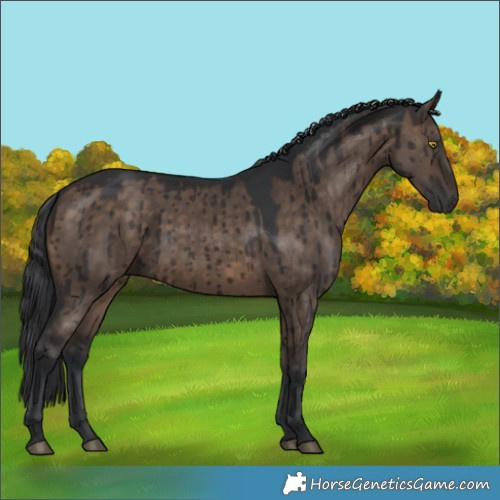 Horse Color:Brown Dun Brindle 