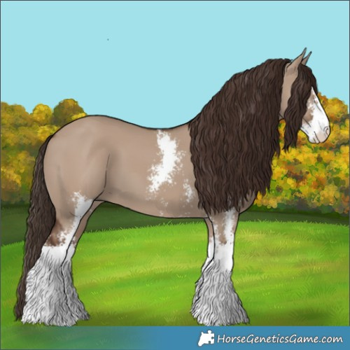 Horse Color:Liver Red Dun Sabino 