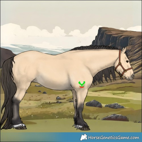 Horse Color:Buckskin 