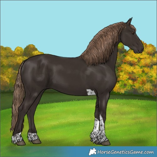 Horse Color:Liver Chestnut Tobiano