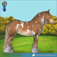 Horse Color:White Spotted Chocolate Palomino