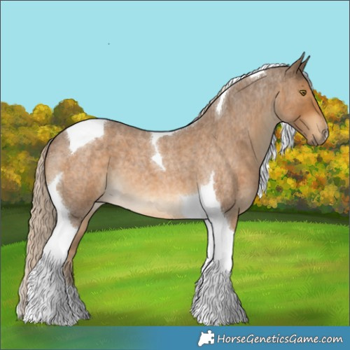 Horse Color:Chocolate Palomino Roan Tobiano