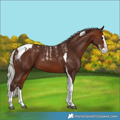 Horse Color:Powder White Silver Bay Splash Tobiano