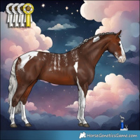 Horse Color:Powder White Silver Bay Splash Tobiano 