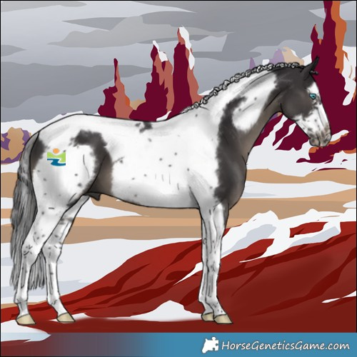 Horse Color:Smoky Black Splash Tobiano Frame