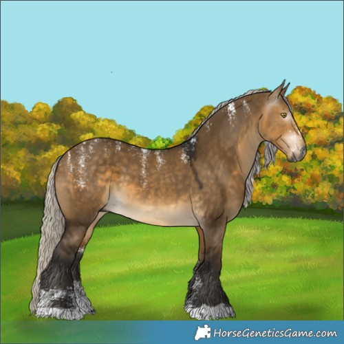 Horse Color:Powder White Gray Silver Brown Dun