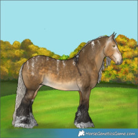 Horse Color:Powder White Gray Silver Brown Dun