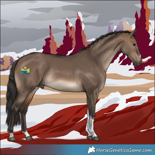 Horse Color:Brown Dun Tobiano Rabicano