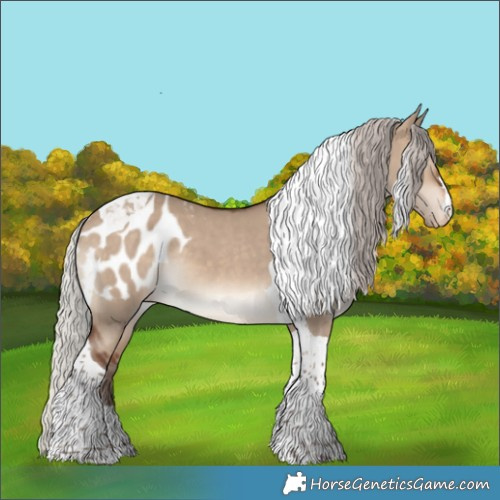 Horse Color:Silver Brown Dun Tobiano Appaloosa