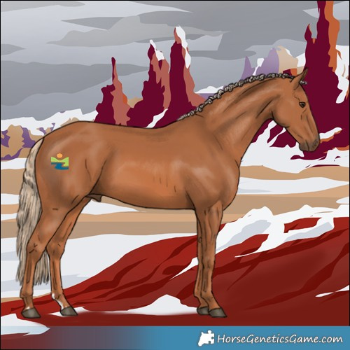 Horse Color:Chestnut Rabicano 