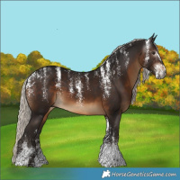 Horse Color:Powder White Gray Silver Brown