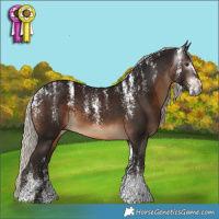 Horse Color:Powder White Gray Silver Brown 