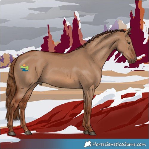 Horse Color:Red Dun Rabicano 