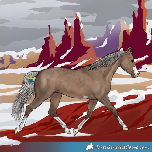 Horse Color:Silver Grullo