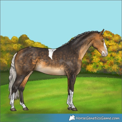 Horse Color:Silver Buckskin Splash Tobiano