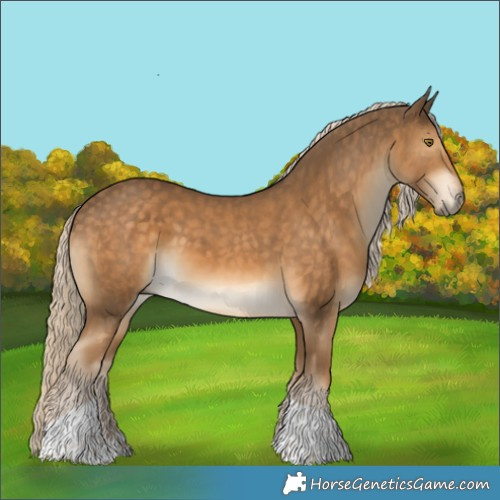 Horse Color:Chocolate Palomino Tobiano