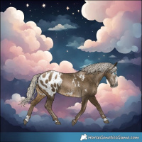 Horse Color:Gray Silver Brown Splash Blanket