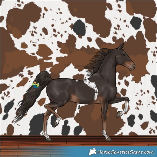 Horse Color:Liver Chestnut Tobiano 