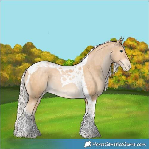 Horse Color:Silver Buckskin Tobiano 