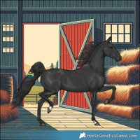 Horse Color:Black 