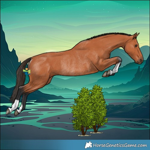 Horse Color:Bay Rabicano 